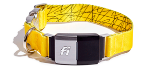 fi series 2 dog collar review