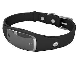 sportdog gps collar