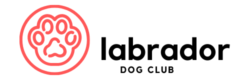 Labrador Dog Club